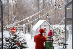 Garten im Winter