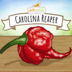 Carolina Reaper