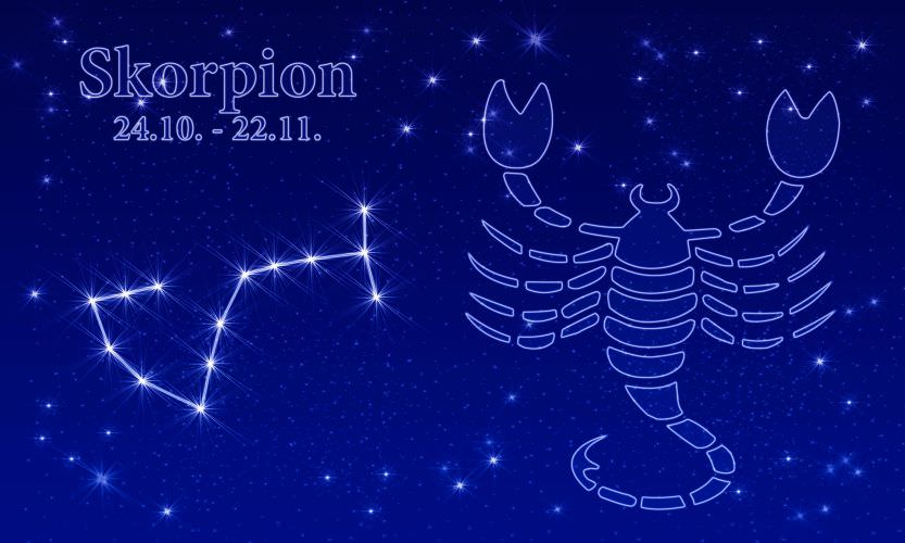 Gartenhoroskop Skorpion