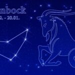 Gartenhoroskop Steinbock