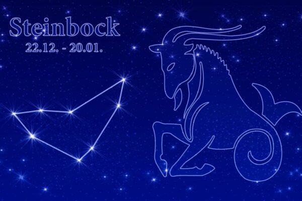 Gartenhoroskop Steinbock