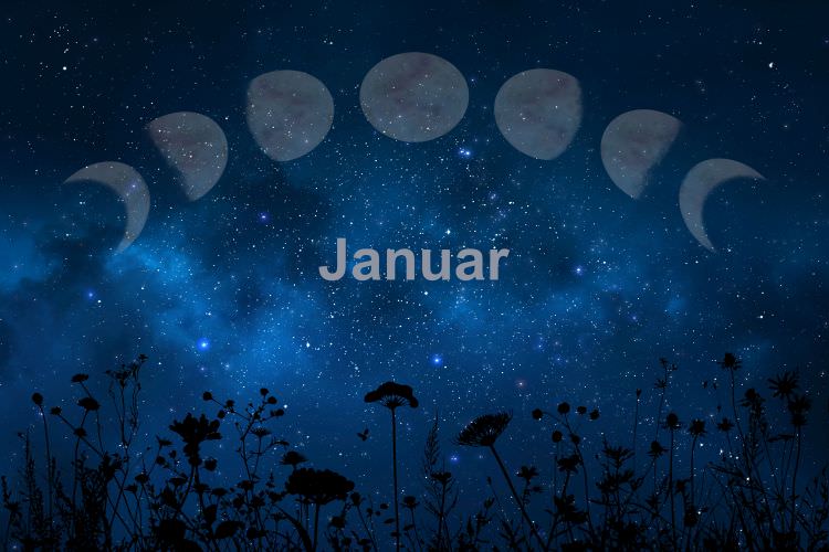 Mondkalender Januar 2024