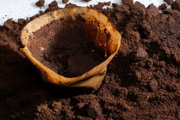 Kaffeesatz – Wunderwaffe oder nur heiße Luft?