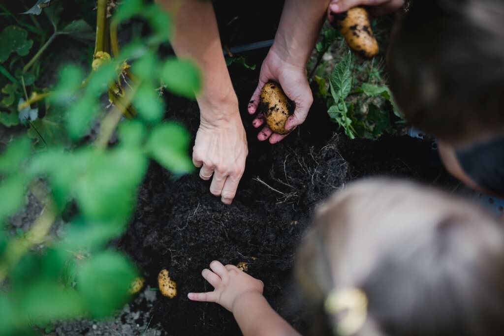 Gusta-Garden-Produkte: tolle Ideen für den kleinen Garten