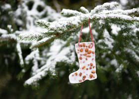 weihnachtliches Vogelfutter