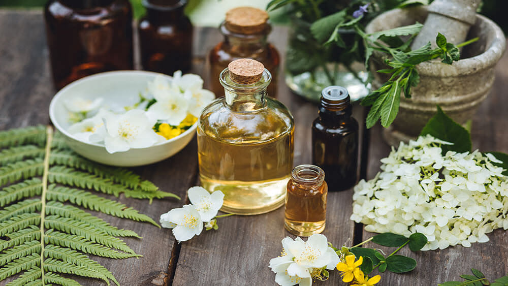 Apothekergarten anlegen – was gehört rein?