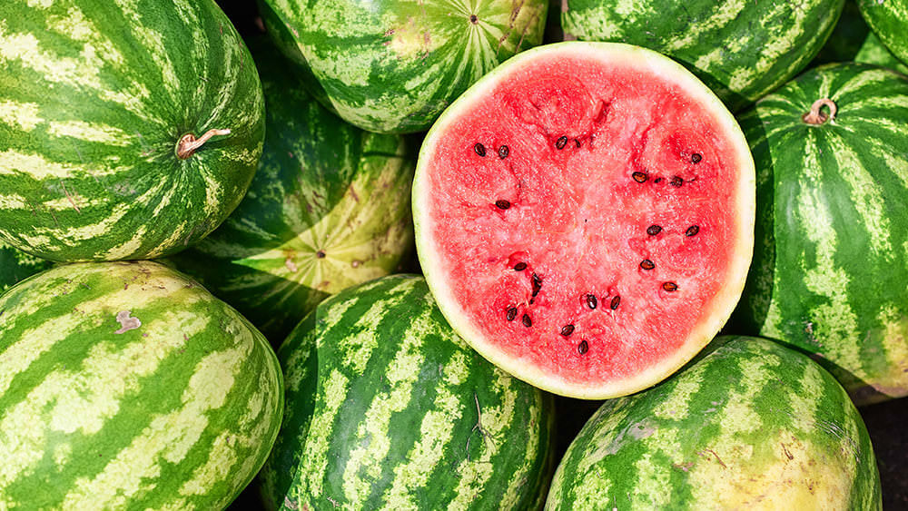 Fruchtig & frisch: die besten Wassermelonen-Samen im Überblick