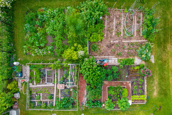 Garten Draufsicht