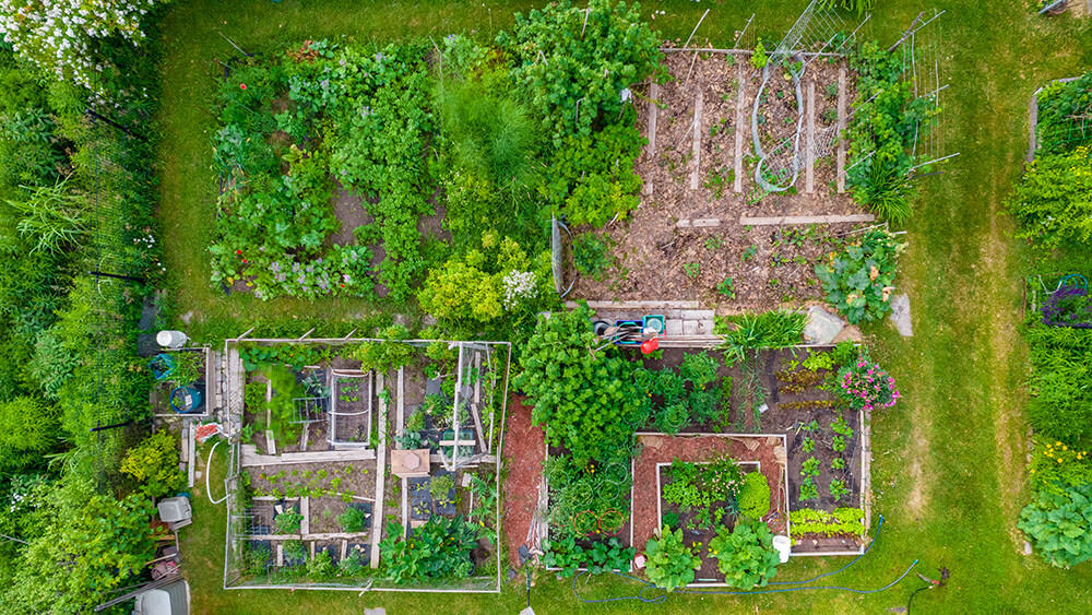 Garten Draufsicht