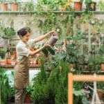 Indoorgarten – so wird´s grün im Haus