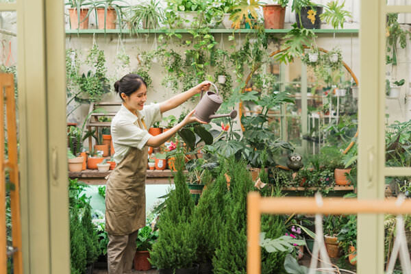 Indoor Garten