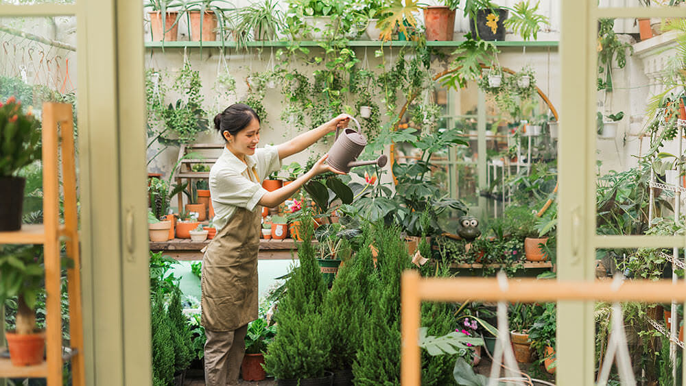 Indoor Garten