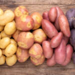 20 beliebte Kartoffelsorten für den eigenen Anbau