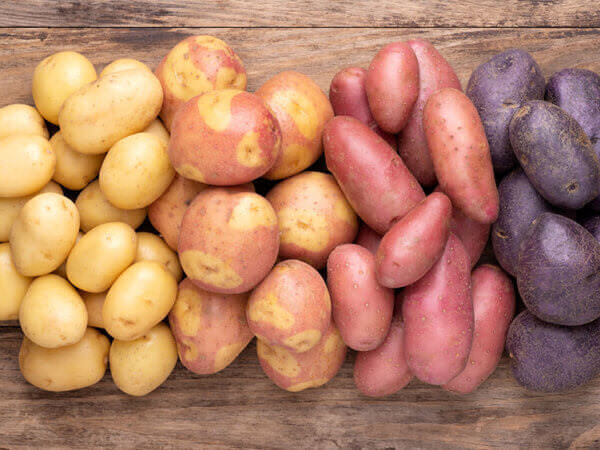 20 beliebte Kartoffelsorten für den eigenen Anbau