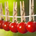 Tomaten lange haltbar machen – 10 Tipps