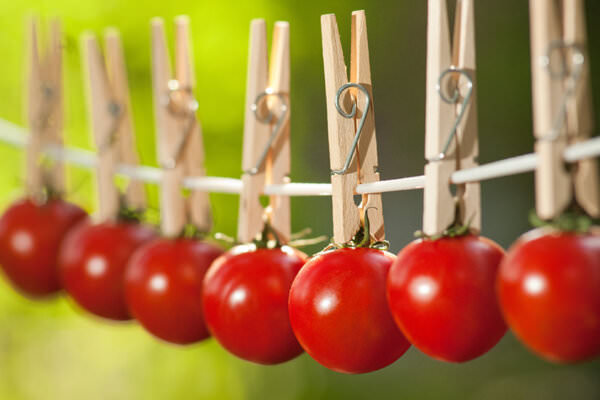 Tomaten an Wäscheleine