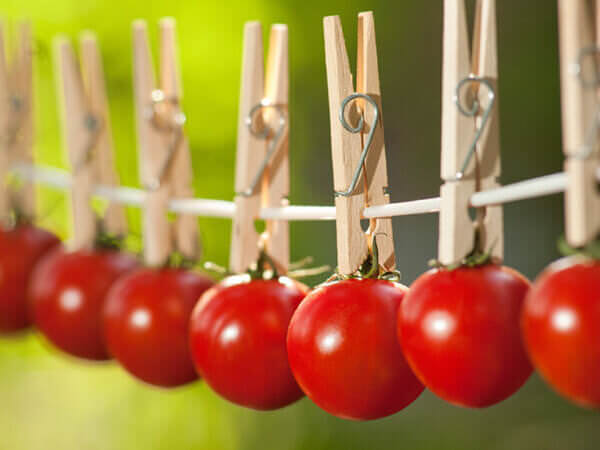 Tomaten lange haltbar machen – 10 Tipps