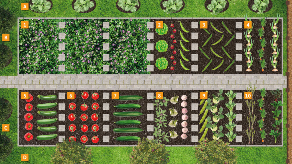 Anbauplan Beispiel Garten