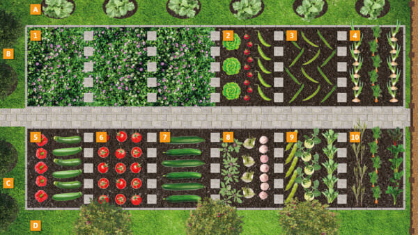 Anbauplan Beispiel Garten