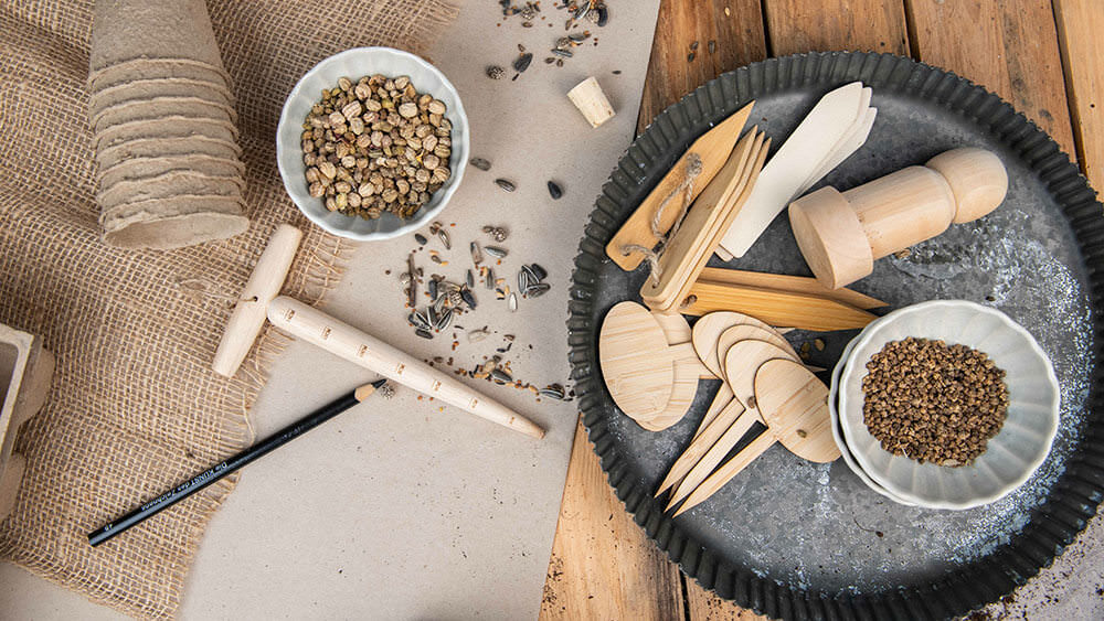 Mein erster Garten – Aussaatzeit ist fast das ganze Jahr