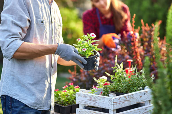 erster Garten