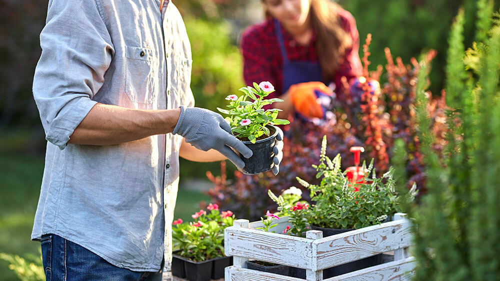 erster Garten