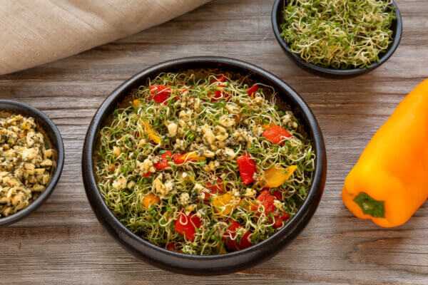 Salat mit Alfalfa Sprossen