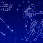 Gartenhoroskop Zwilling