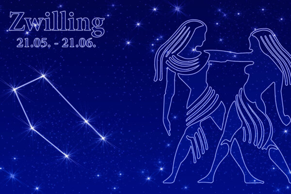 Gartenhoroskop Zwilling