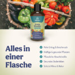 ErnteWunder