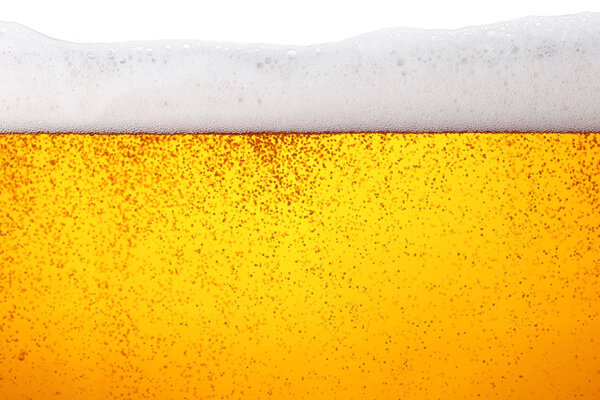 Bier