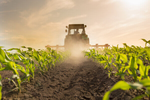 Landwirtschaft