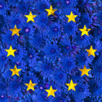 Nationalblumen der Länder Europas – wenn es blüht und grünt