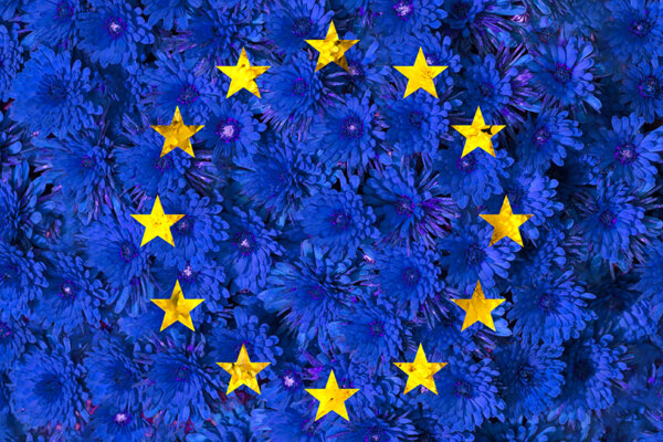 Nationalblumen Europas