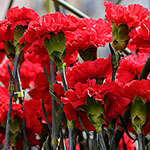 Nationalblume Monaco