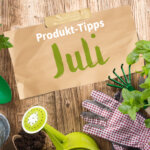 Unsere Produkttipps für den Garten – von Gartenhandschuhen bis Pflanzenpflege