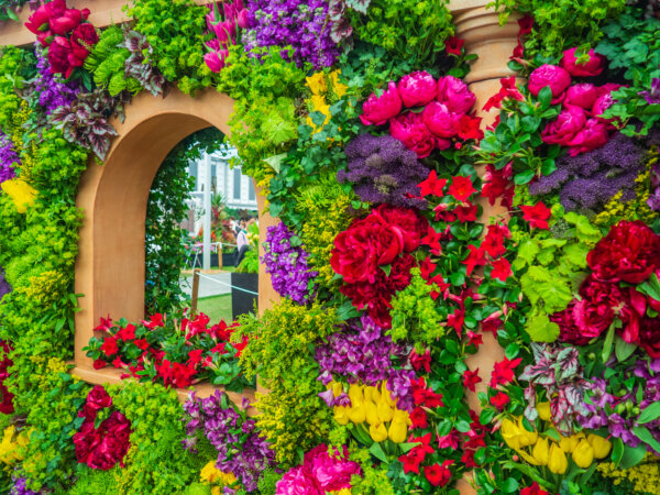 Chelsea Flower Show