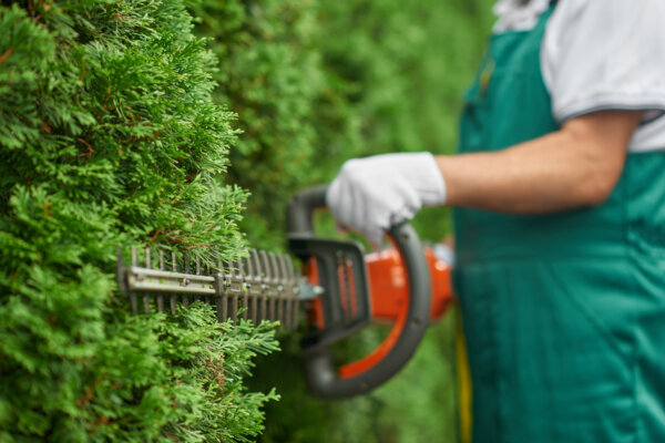 Gartenarbeit