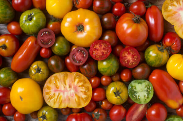 Tomaten