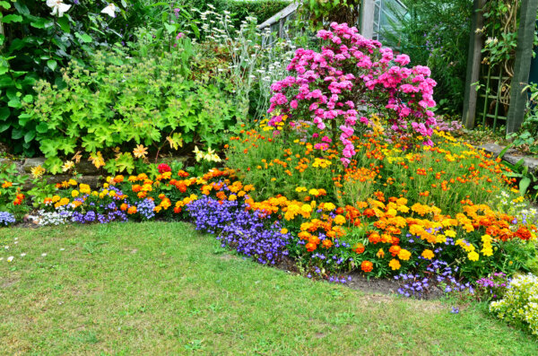 bunter Garten