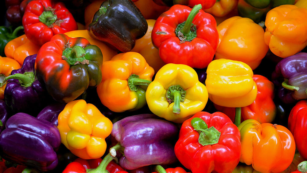 Wenn Paprika und Chili nicht rot werden wollen