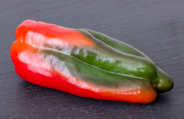 Paprika nachreifen