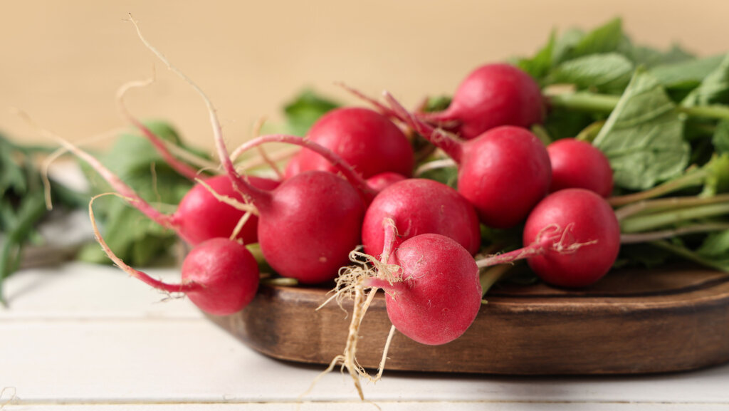Radieschen-Rezepte in Hülle und Fülle