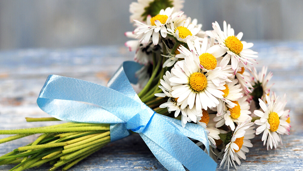 Die Sprache der Blumen – diese Bedeutung haben Blumen