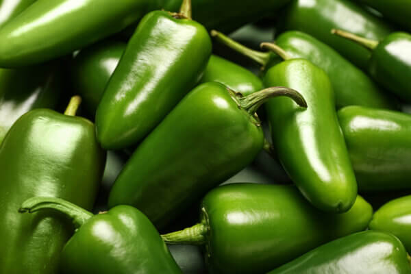 grüne Jalapenos