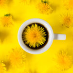 Löwenzahnkaffee – lecker und gesund