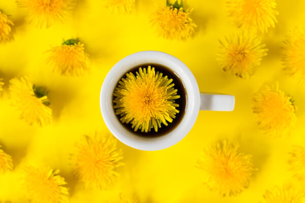 Löwenzahnkaffee