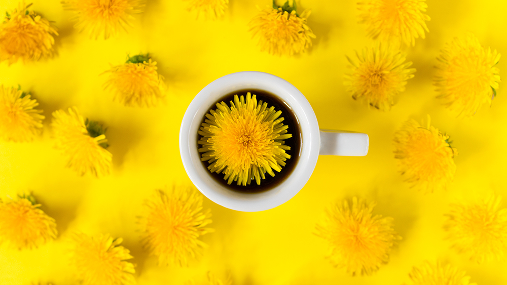 Löwenzahnkaffee