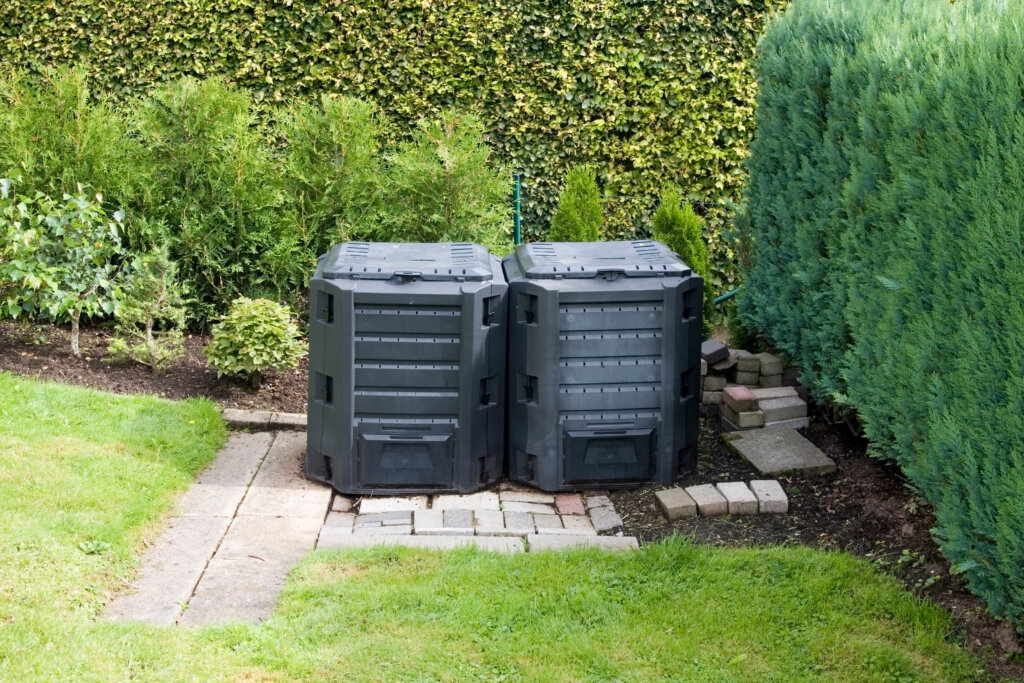 Ratten im Garten Wie werden Sie die unbeliebten Nager wieder los