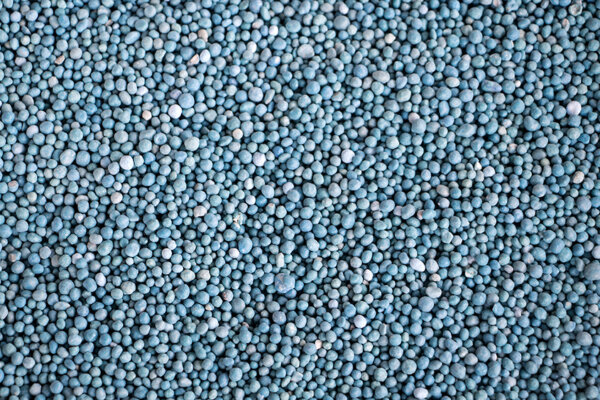Blaukorn